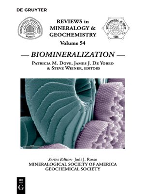 cover image of Biomineralization